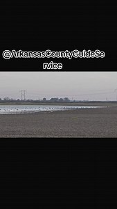 Self-Guided Duck Hunts available starting as soon as December 10 in Stuttgart, Arkansas. $750 to rent a blind that holds up to six ppl, hunts shutoff at 2pm. For further information give us a call or shoot us a text at 870-830-7430 or 870-456-3786. Www.arcountyguideservice.com #arkansascountyguideservice #waterfowlseason #duckhunting | Arkansas County Duck Guide Service