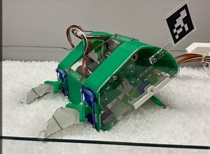 Mole crab-inspired vertical self-burrowing