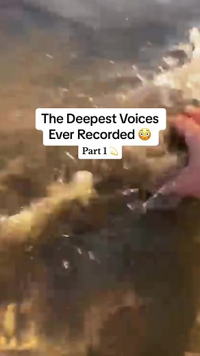 The Deepest Voices Ever Recorded 😳