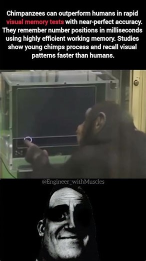 Chimpanzee Beats Humans in Memory Test 😳🧠 | Shocking Brain Power #facts #science #space #shorts