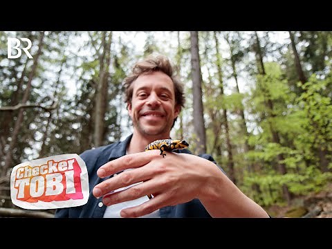 Der Freiwilligen-Check | Reportage für Kinder | Checker Tobi | BR