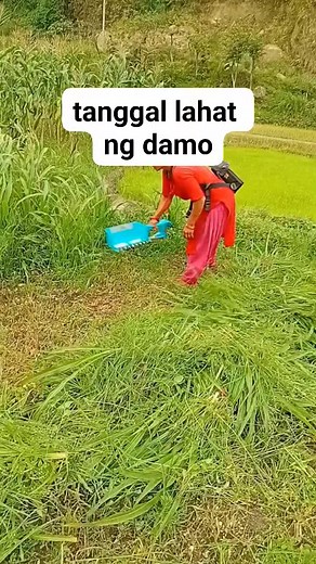#grasscutter #farmingcutter #grass #reelsviralシfb #fbreelsfypシ゚ #adsonreels #fbreels #reelsvideos #machine #ideas | Shiela Marie Molina Caluya