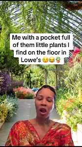 389K views · 11K reactions | Just Joking I would Never來華#PlantParent #HouseplantHumor #PlantMeme#PlantAddict #IndoorJungle#CrazyPlantLady #CrazyPlantPerson#PlantsMakePeopleHappy #HouseplantClub#Plantstagram #PlantLife | Plant Me In The Dirt | Facebook