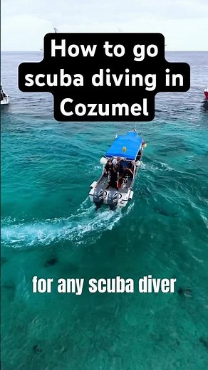 How to go Scuba Diving in Cozumel 📍🤿💦 #scubadiving #bucketlisttravel #cozumel #divetravel