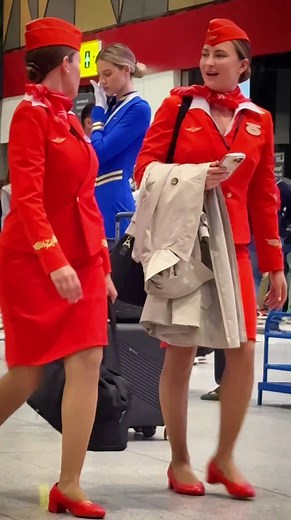 464K views · 11K reactions | You've asked me many times where I got...