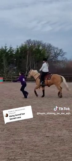 Replying to @debbieryan2 the moment I led Dais on her first ever barrel racing pattern and I absolutely stacked it in the middle of the pattern. Dais did amazing this show 👏 #barrelracing #speed #westernspeedevents #funtimes #goodtimes #westernhorse #western #horsesoftiktok #aqhaproud #PALOMINO #aqha #fail #leading #fallingover