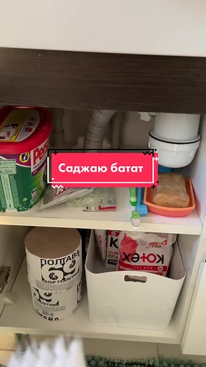 Composting Process: Step-by-Step Guide to Success