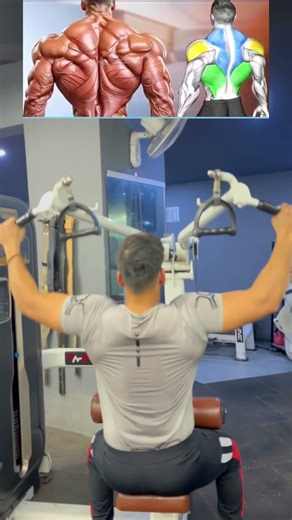 Highly Effective exercise Back machine✅ #backworkout #gymlife #fitness #tips #youtubeshorts #yt #gym