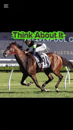 Understanding Horse Racing Dynamics for Better Betting