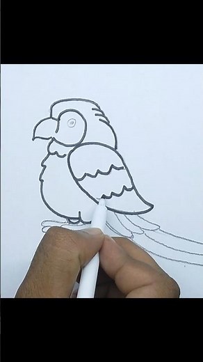 How to Draw a Parrot Step by Step | Easy Parrot Drawing for Beginners 🦜