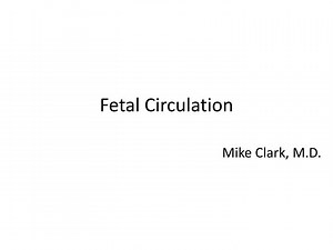 Fetal Circulation - SlideServe