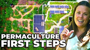 Create abundance in your garden using microclimates