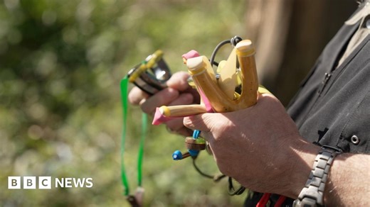 Anti-catapult rules proposed in Surrey over wildlife attacks