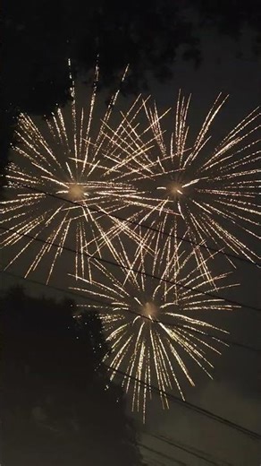 Dragon Fireworks Triple Shooter. Golden Crown Brocade. #2026 #pyro #newyear #diwali #fireworks