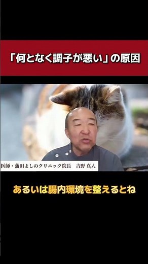 「何となく調子が悪い」の原因（腸内環境）