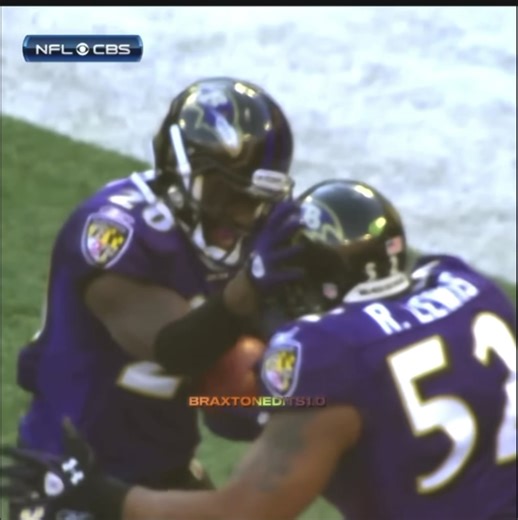 Ed Reed: The Ultimate Safety in NFL History