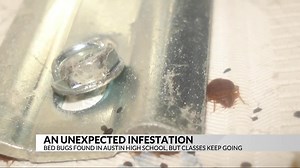 Bed bug infestation hits Austin High School, but classes continue amid parents concerns