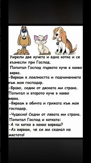 Котката, която седна на мястото на Господ! 🐈😂 #shorts