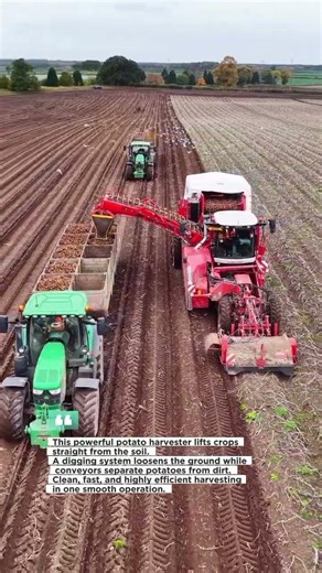 This Machine Harvests Tons of Potatoes in Minutes #farming #harvester #agriculture