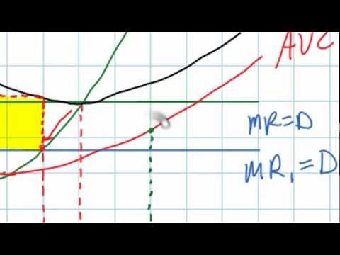 The "Shut-down Rule" - When should a firm shut down in the face of economic losses?
