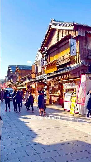 【三重県】伊勢神宮 おかげ横丁 食べ歩き豚捨（松坂牛コロッケ）→ふくすけ（伊勢うどん）→川西屋（玉子焼き）#伊勢神宮 #おかげ横丁 #伊勢うどん #伊勢グルメ #isejingu #三重観光