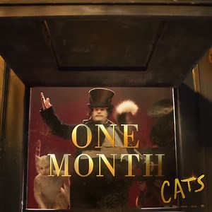 Get ready for the magical movie event of the season! #CatsMovie is in cinemas in ONE MONTH 🐱✨ | Universal Pictures