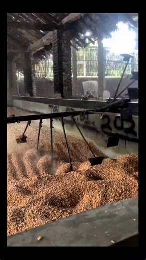 Real Engineerings | Engineering & Technology & Gadgets & DIY on Instagram: "Agricultural Automation: The Infinite Grain Stirrer! 🌾🔄 ​It looks like a giant Zen garden, but this is a critical step in food preservation! Witness a massive automated stirring system churning through tons of harvested grain in a storage facility. ​The Science of Storage ​Storing grain isn't as simple as piling it up; it requires active management to prevent spoilage: ​Fighting Moisture: Freshly harvested grain often 
