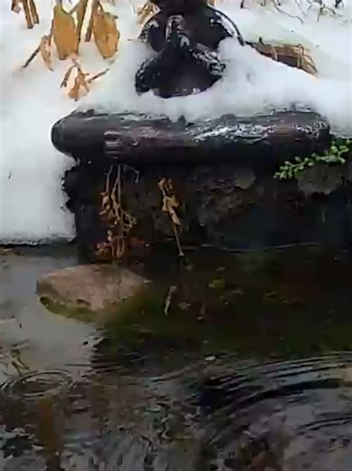 Amy's Pond ❌️ (@amyspondny)’s videos with original sound - Amy's Pond ❌️