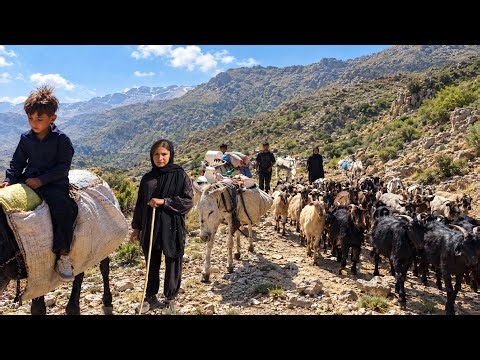 🔥The Great Nomadic Migration in Iran:A Hard Journey to the Mountains and the Life of Nomadism⛰️