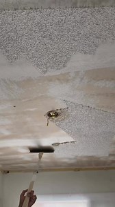 How to scrape popcorn off ceilings (Not my video) | AJ's Drywall & Finishing, LLC.