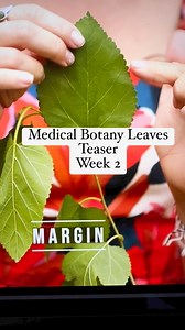 I LOVE teaching field botany and drawing on 27 years of knowledge and practice! This is a small clip from Medical Botany, Module 2. If you missed the enrollment period and the 50% off pricing, make sure to keep your eyes open for it in 2025! We give away all of our secrets! https://www.wildherbacademy.com/medicalbotany2 | Wild Herb Academy | Facebook