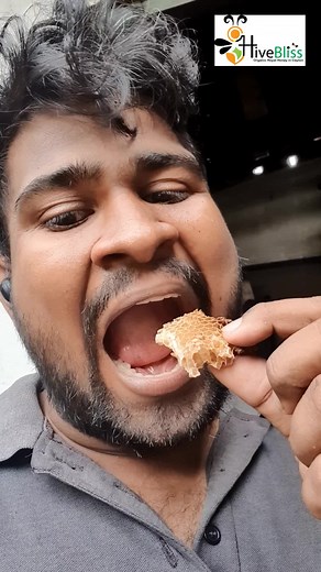 Hivebliss Bee Breeding Center on TikTok