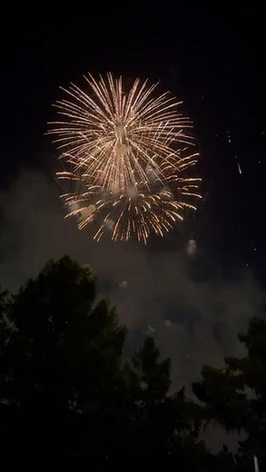 #viral INSANE Fireworks Display Caught on Camera! 🌌🔥🎄🔔🫵💃