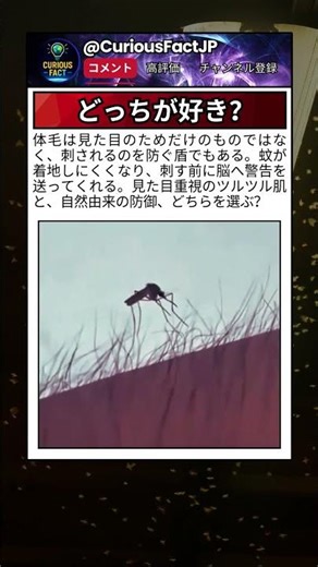 体に備わっている小さな防御だが、日常ではほとんど意識されない。