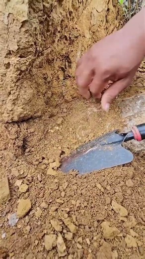 we found Gold || #goldhunting #gold #metaldetecting #treasure #shorts