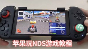 苹果nds模拟器教程