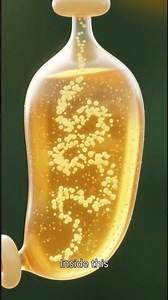 How Bees Make Honey 🍯 | Inside a Bee’s Body (CGI Explained)