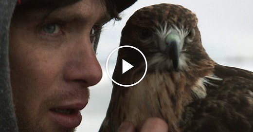 Movie Review: ‘Aloft’