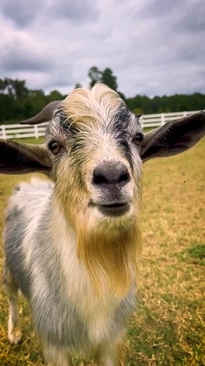 Exclusive Interview with Uno from Formaxfarm