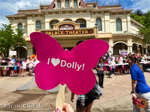 Dollywood's NightFlight Expedition - The Most Expensive Ride Yet!