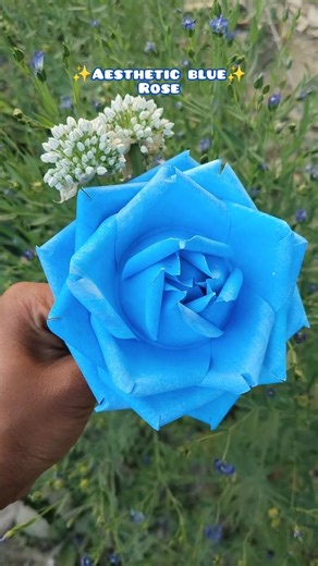 Diy Aesthetic blue 🔵💙 rose ✨🌹#diy #flowers #rose #viral