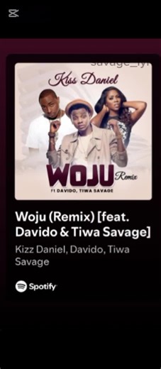 Woju Remix by@Kizz Daniel #fyp #fypmusic #kizzdaniel #davido #tiwasavage #wojuremix #songlyrics #lyricsvideo #afrobeats #knowthesonglyrics #goviral
