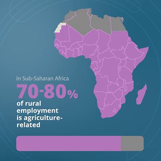 From farm to market, agriculture is Sub-Saharan Africa’s untapped jobs engine.Explore the data and discover how investing in a agriculture can drive growth and job creation: https://t.co/N2A1BczQB9
