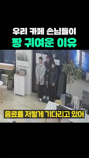 우리 카페 손님들이 짱 귀여운 이유