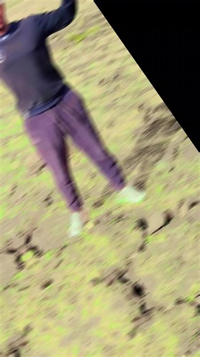 teda teda (@teda.teda67)’s videos with Adey Mearey - Hiluf Alemu