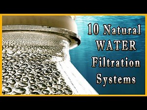 Top 10 Water Purifying Methods in the Forest and Rural Areas