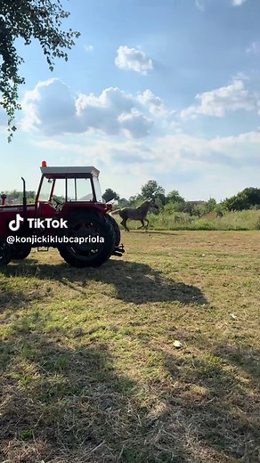 TikTok Navigation System Guide