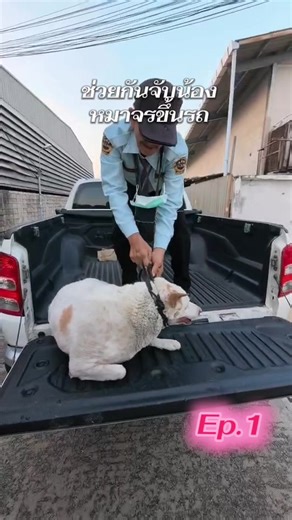 วิดีโอของ chase (@maxguschase) พร้อมเพลง Thank You for Being You - OctaSounds