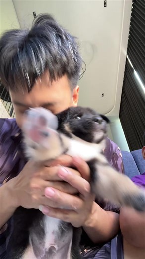 แมวอาบน้ำใหม่: เคล็ดลับการอาบน้ำอย่างปลอดภัย