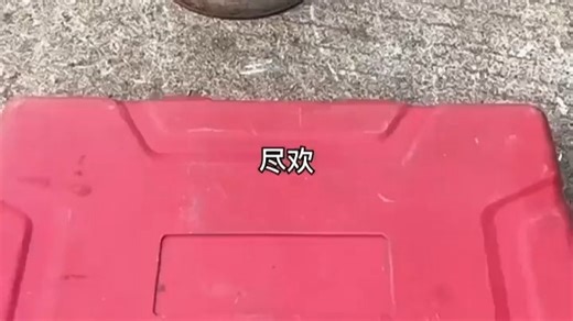 漫天雪絮飘红尘 (9)